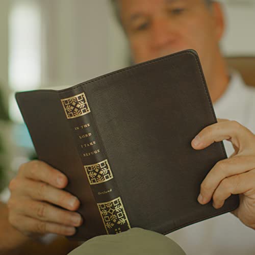In the Lord I Take Refuge: 150 Daily Devotions through the Psalms