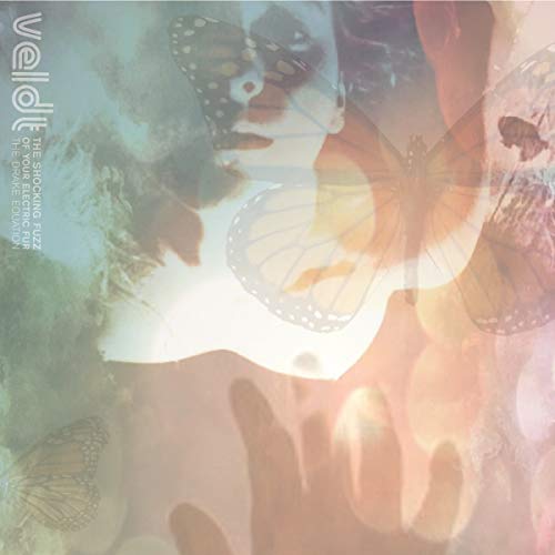 Various - The Shocking Fuzz of Your Electric Fur: The Drake Equation [VINYL]