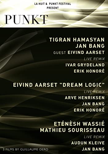 Punkt Festival [DVD]