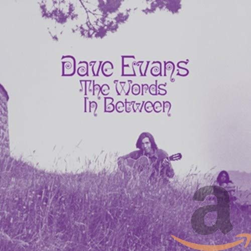 Dave Evans - The Words Inbetween [CD]