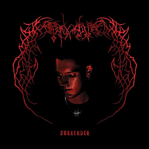 Endgame - Surrender [VINYL]