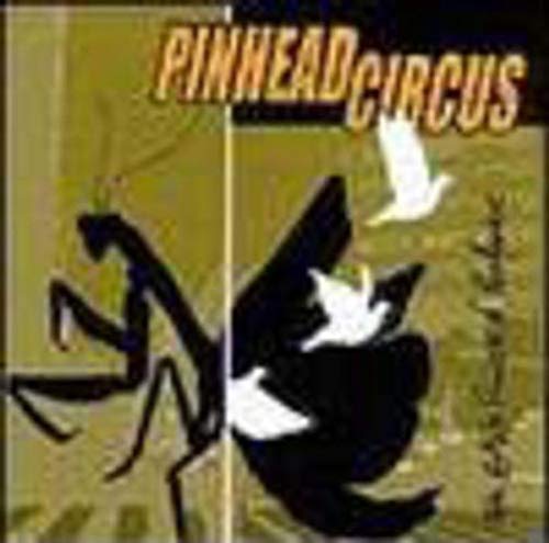 CD cover: black silhouettes of birds against a yellow and black background.