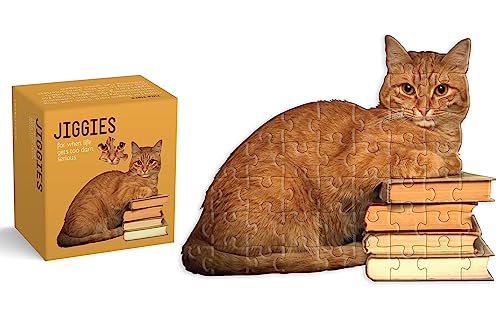 CAT READER JIGGIE