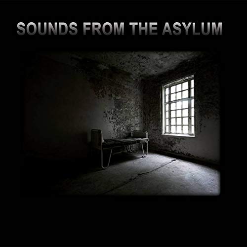Various Artists - Sounds From The Asylum (2cd) [CD]