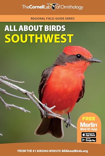 All About Birds: Southwest