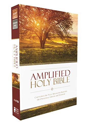 AMPLIFIED THINLINE BIBLE SC SC: Captures the Full Meaning Behind the Original Greek and Hebrew