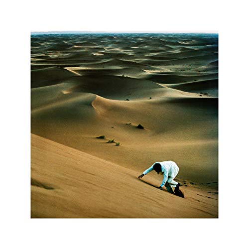 Baxter Dury - Prince of Tears  [VINYL]