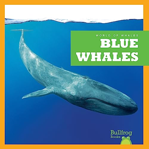 A blue whale swims underwater on the cover of a book titled Blue Whales.