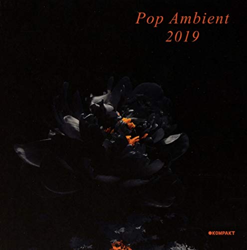 Various Artists - Pop Ambient 2019 [CD]