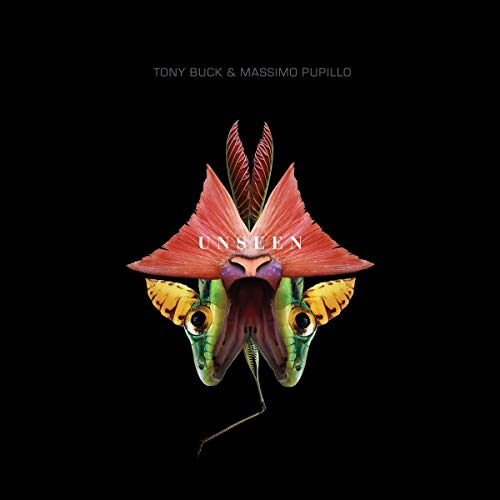 Tony Buck And Massimo Pupillo - Unseen [CD]