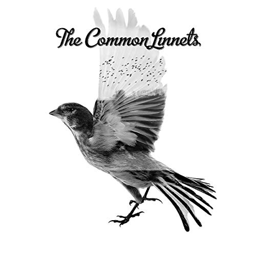 Black and white image of a bird in flight, album artwork.