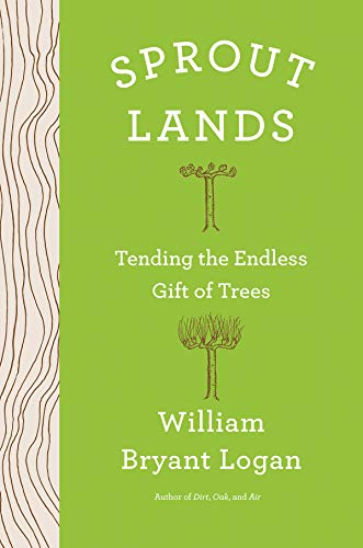 Sprout Lands: Tending the Endless Gift of Trees