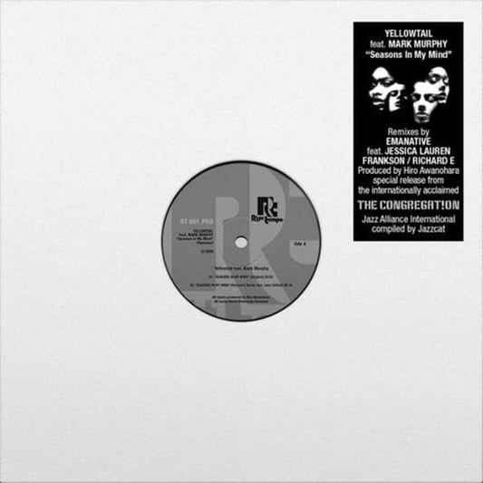 Various - Seasons In My Mind (Remixes) (Feat. Mark Murphy) [VINYL]