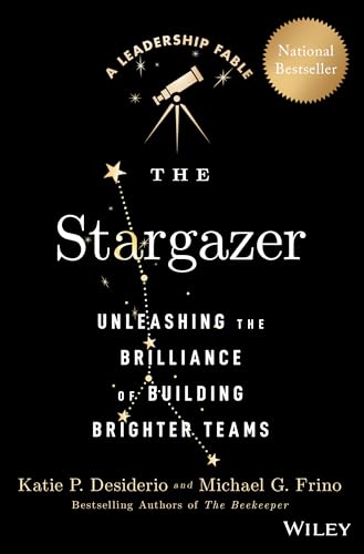 The Stargazer : Unleashing the Brilliance of Building Brighter Teams