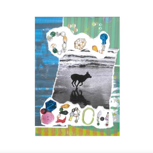 Merryn Jeann - DOG BEACH [VINYL]