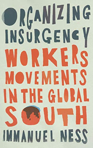 Organizing Insurgency: Workers' Movements in the Global South (Wildcat)