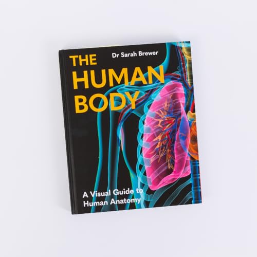 The Human Body