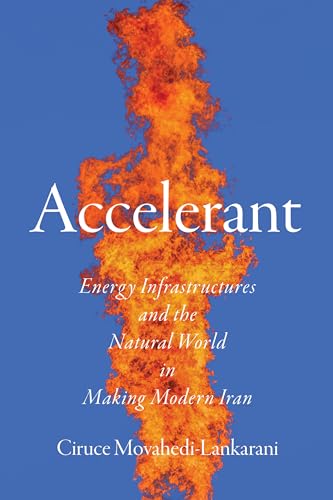 Book cover: "Accelerant" with a fiery image and white text.