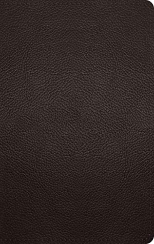 ESV Large Print Personal Size Bible