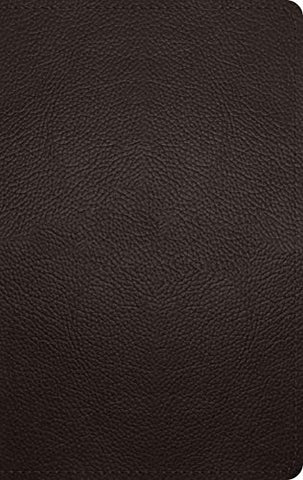 ESV Large Print Personal Size Bible