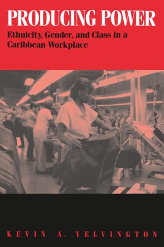 Producing Power : Ethnicity, Gender, and Class in a Caribbean Workplace