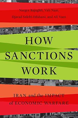 Book with black cover and white text on Iran economic sanctions and their impact.
