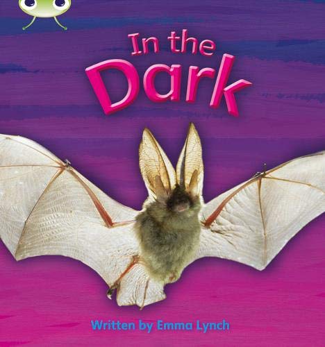 Bug Club Phonics Non Fiction Reception Phase 3 Set 10 In the Dark (Phonics Bug)