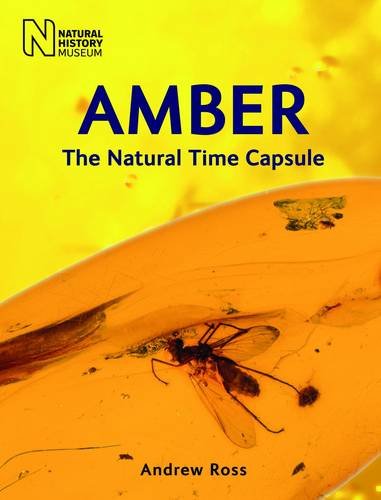 Amber : The Natural Time Capsule