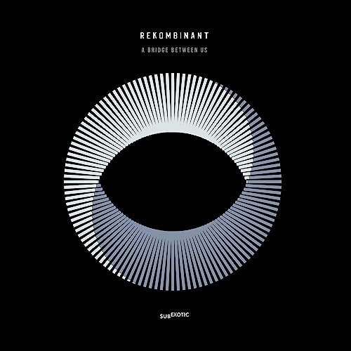 Rekombinant - A Bridge Between Us [VINYL]