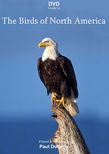 The Birds Of North America [DVD]