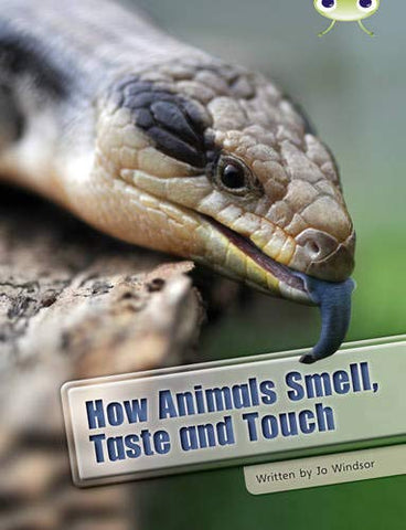 How Animals Smell, Taste and Touch (BUG CLUB)