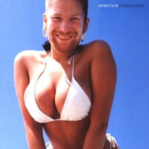 Aphex Twin - Windowlicker [CD]