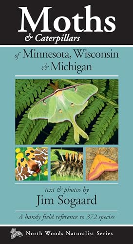 Moths & Caterpillars of Minnesota, Wisconsin & Michigan