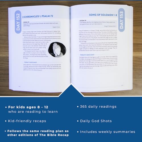 The Bible Recap for Kids : A 365-Day Guide through the Bible for Young Readers