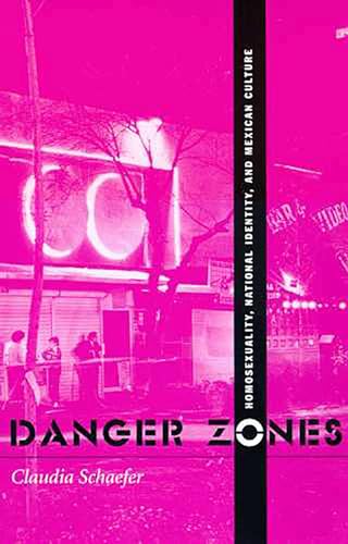 Danger Zones : Homosexuality, National Identity, and Mexican Culture