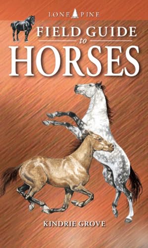 Field Guide to Horses
