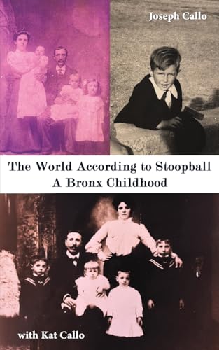 The World According to Stoopball : A Bronx Childhood