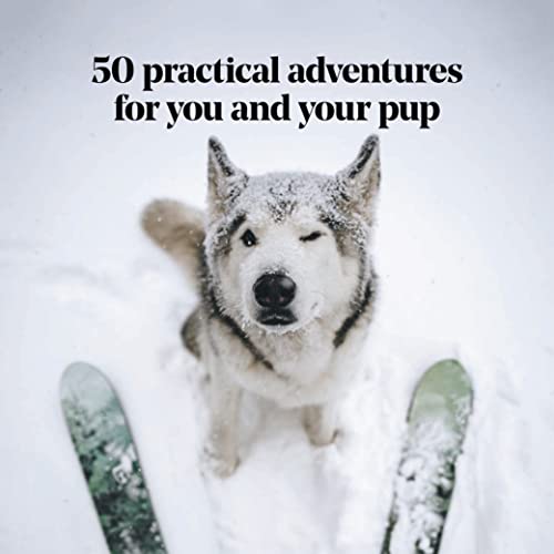 Adventure Dogs