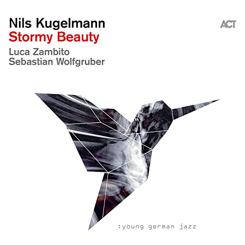 Nils Kugelmann - Stormy Beauty [VINYL]