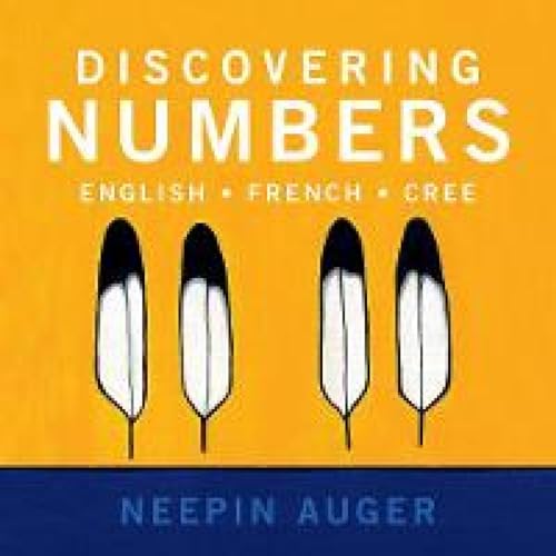 Discovering Numbers