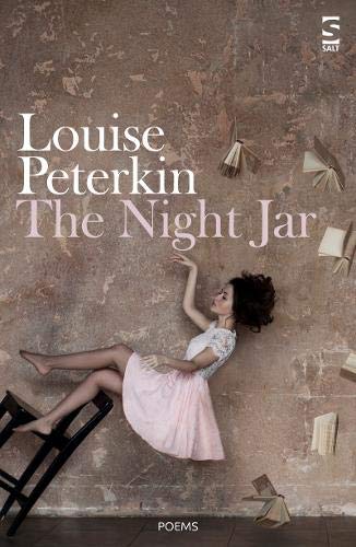 The Night Jar (Salt Modern Poets)