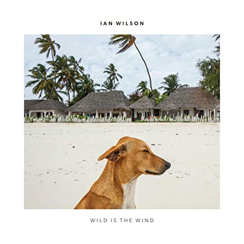 Ian Wilson - Wild Is The Wind [CD]