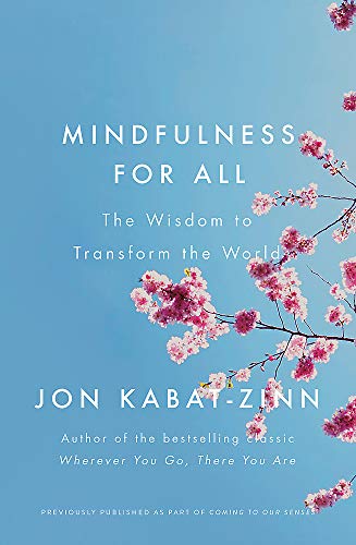 Mindfulness for All: The Wisdom to Transform the World (Coming to Our Senses Part 4)