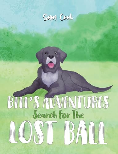 Bill’s Adventures: Search for the Lost Ball