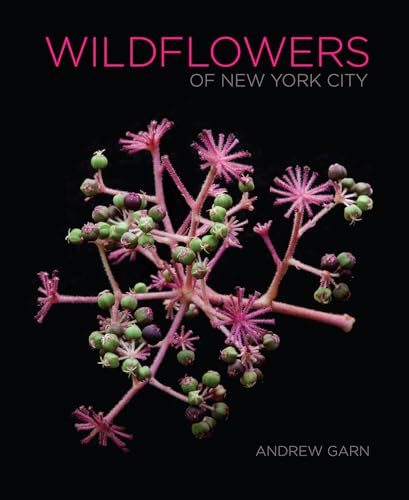 Book cover: "Wildflowers of New York City" featuring pink wildflowers.