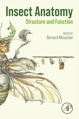 Insect Anatomy : Structure and Function