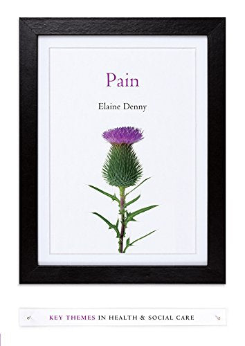 Pain: A Sociological Introduction (Key Themes in Health and Social Care)