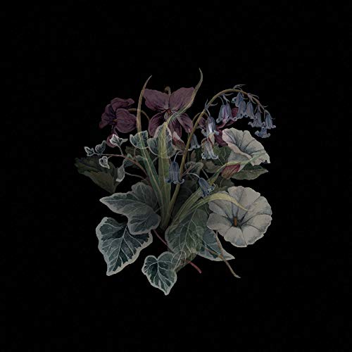 Nhor - Wildflowers [VINYL]