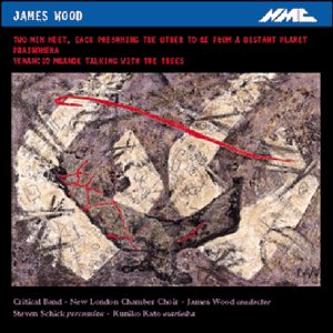 James Wood - Wood: Two Men Meet [CD]