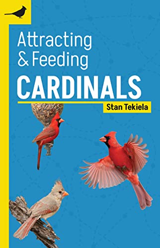 Attracting &amp; Feeding Cardinals